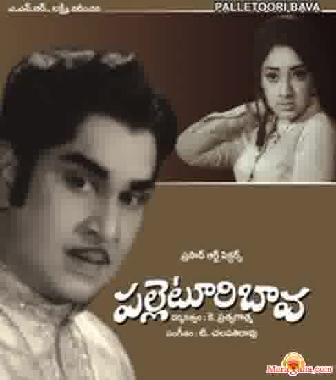 Poster of Palletoori Bava (1973)